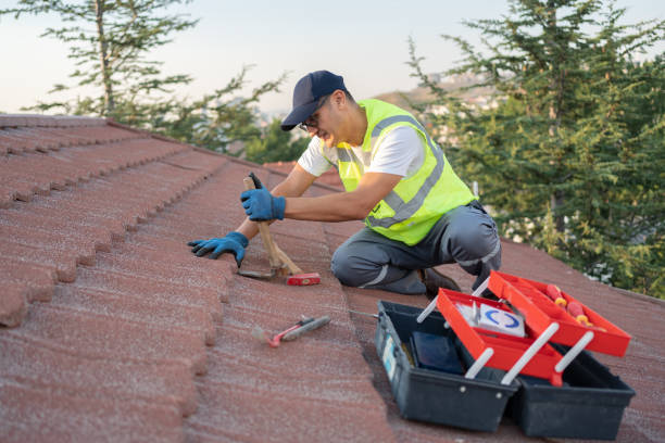 Best Residential Roofing Contractor  in Mackinac Island, MI