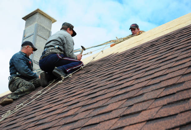 Best Metal Roofing Contractor  in Mackinac Island, MI